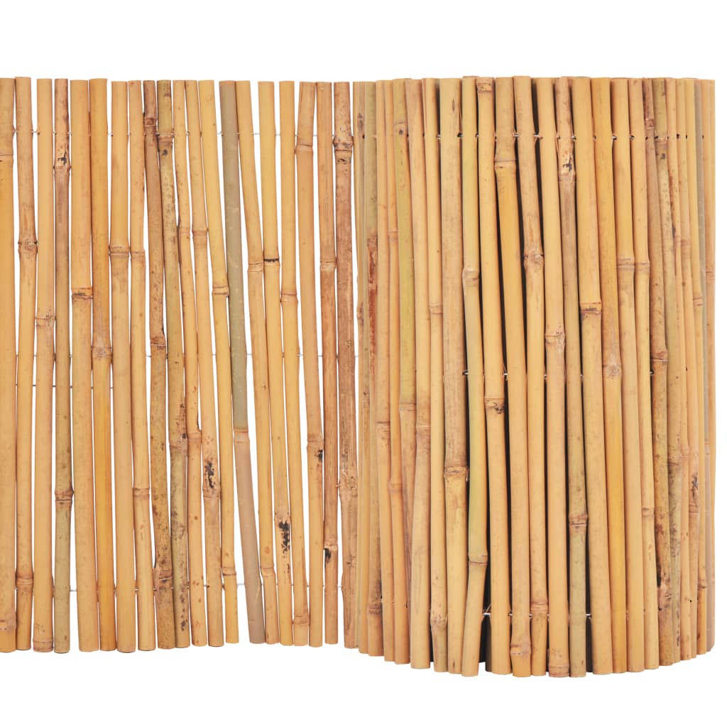 Bambuaita 500X30 Cm