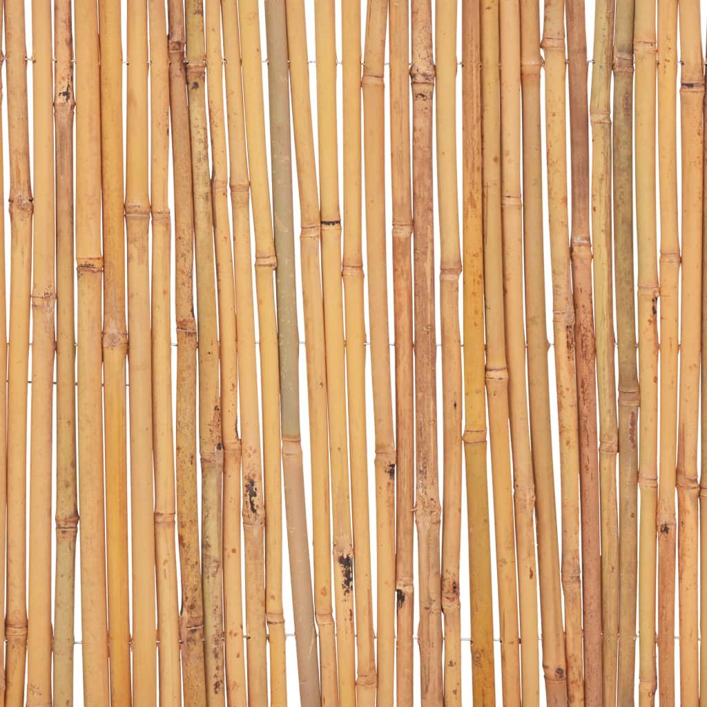 Bambuaita 500X30 Cm