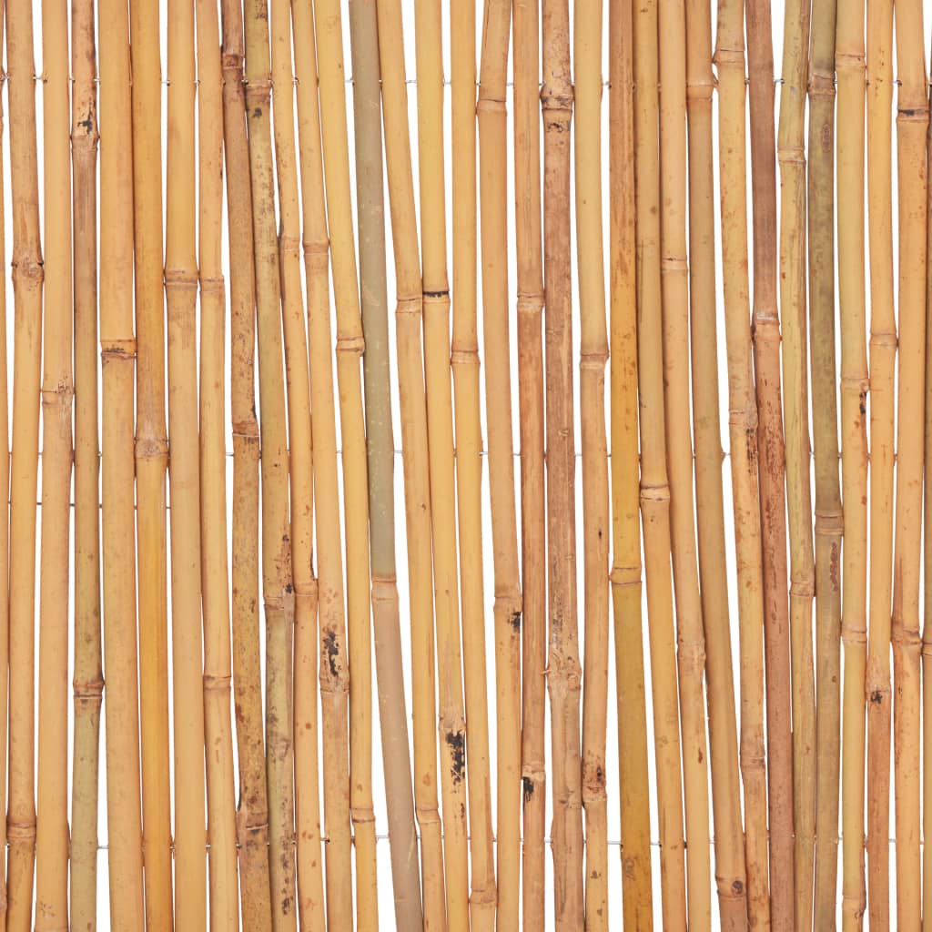 Bambuaita 500X50 Cm