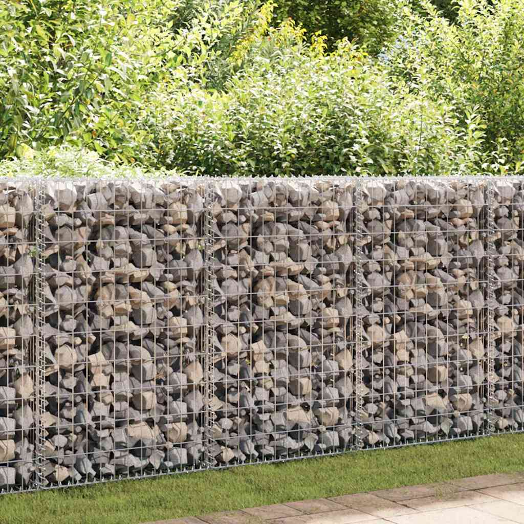 Gabion/Kivikori Kansilla Galvanoitu Vaijeri 100X80X30 Cm