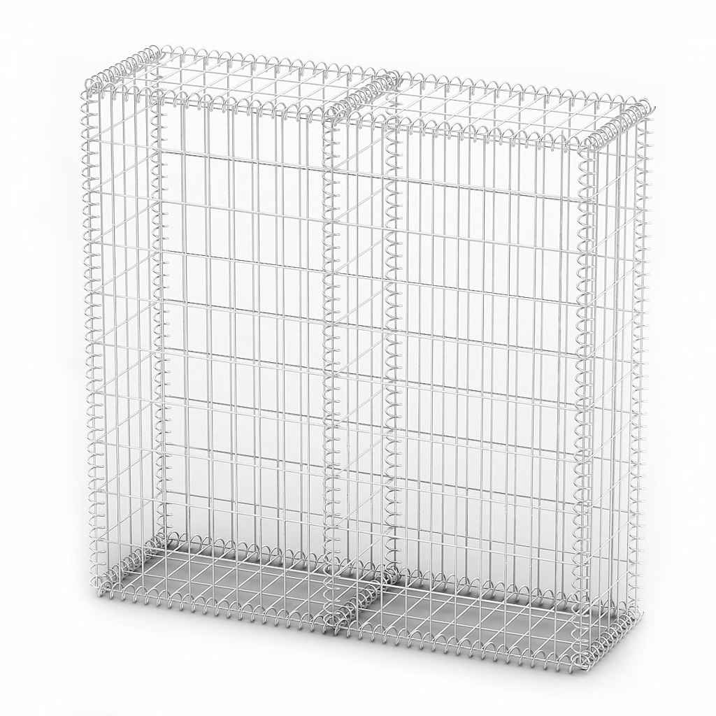 Gabion/Kivikori Kansilla Galvanoitu Vaijeri 100X100X30 Cm