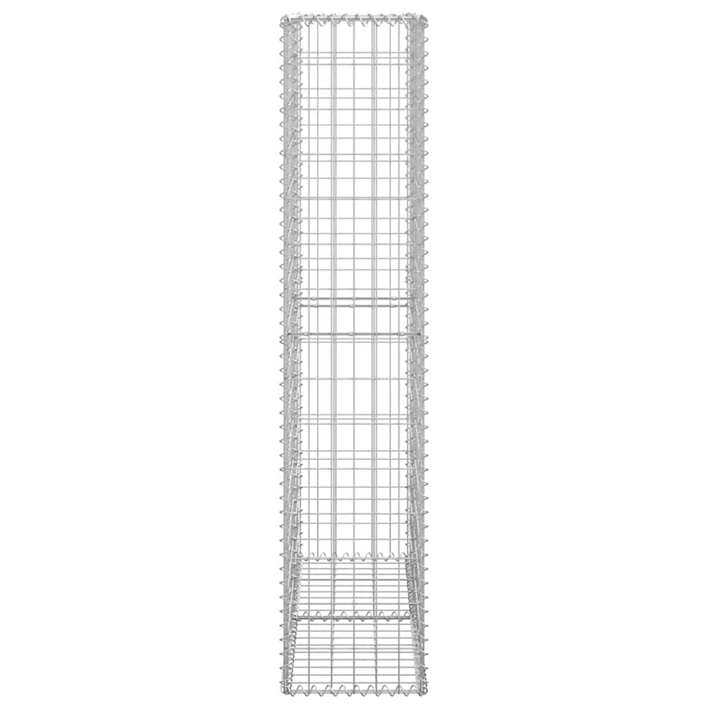 Gabion/Kivikori Kansilla Galvanoitu Vaijeri 150X100X30 Cm