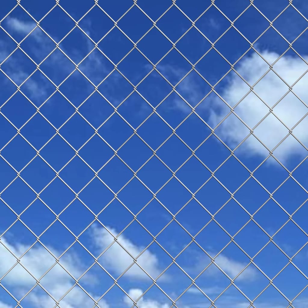 Verkkoaita Tolpilla Piikeillä Galvanoitu Teräs 25X1,25 M