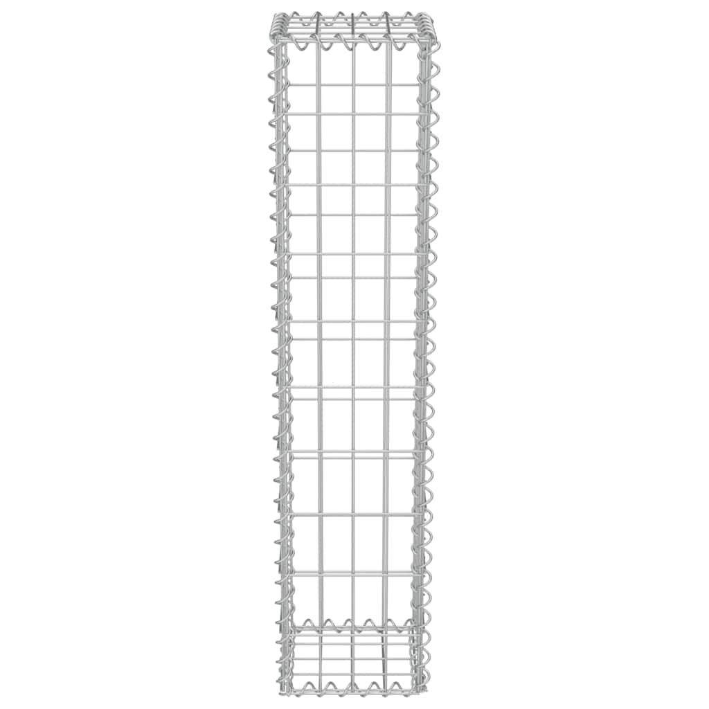 Gabion-Kivikori Kansilla Galvanoitu Teräs 20X20X100 Cm