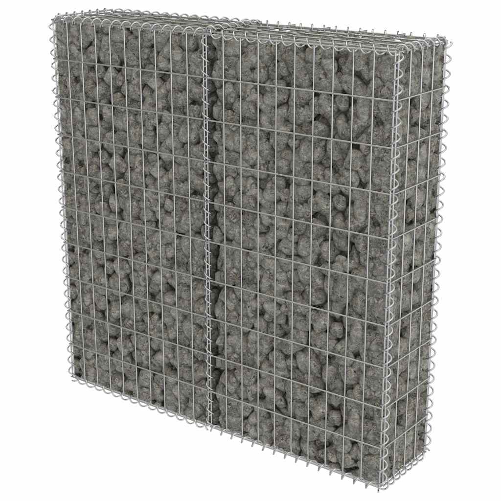 Gabion-Kivikori Kansilla Galvanoitu Teräs 100X20X100 Cm