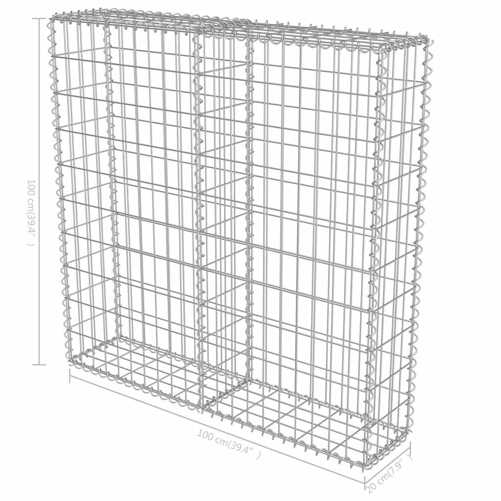Gabion-Kivikori Kansilla Galvanoitu Teräs 100X20X100 Cm