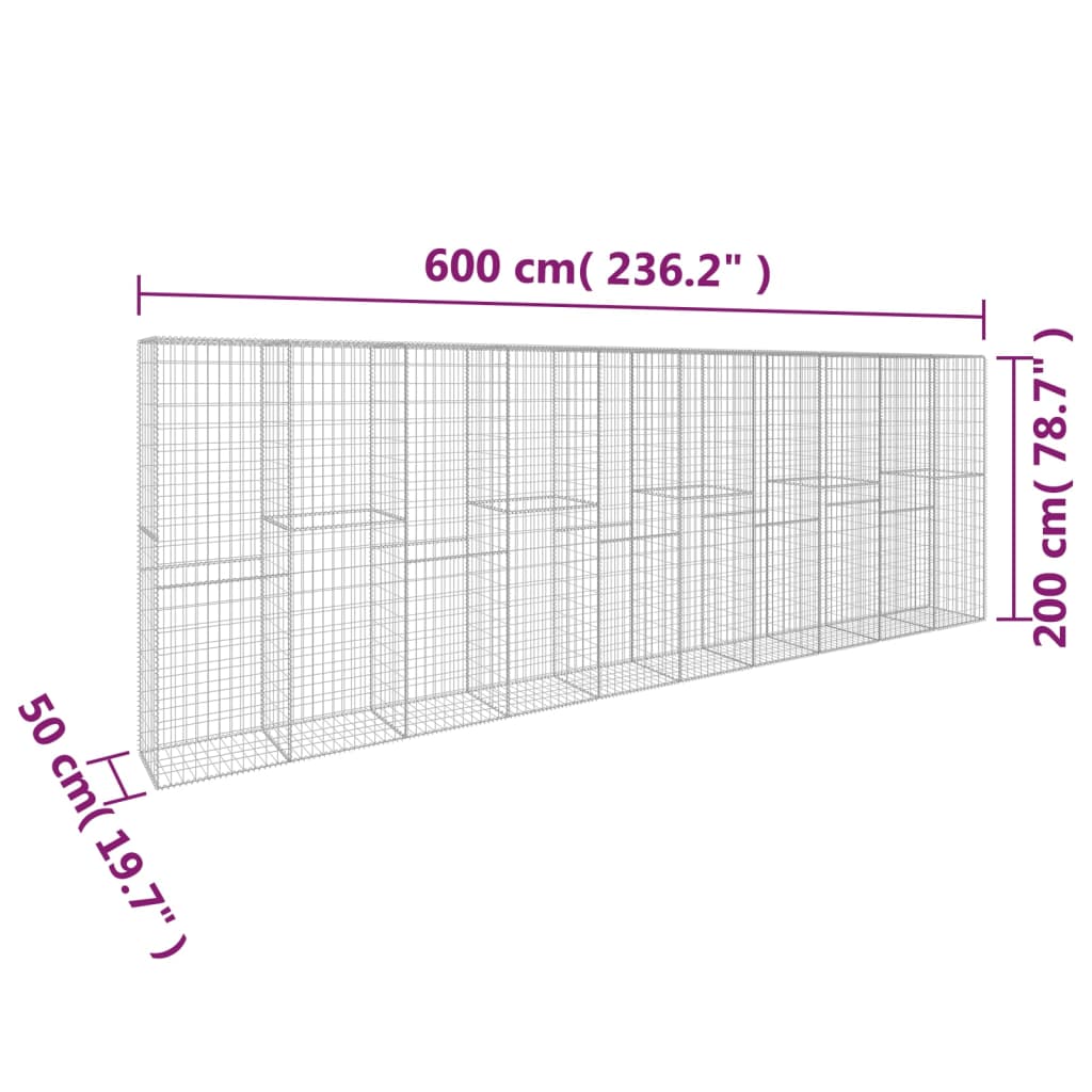 Gabionseinä Kannella Galvanoitu Teräs 600X50X200 Cm