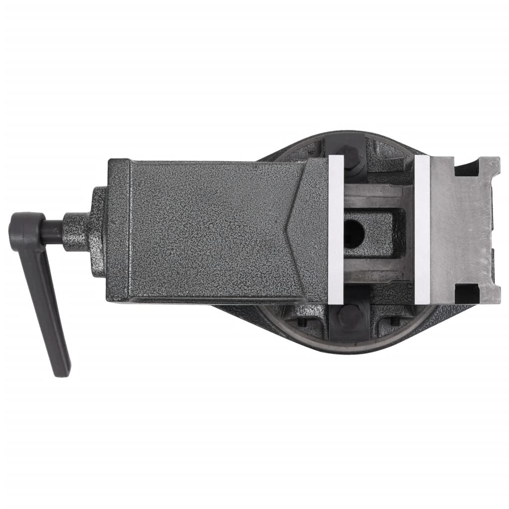 Kaksiakselinen Kallistuva Ruuvipuristin 100 Mm