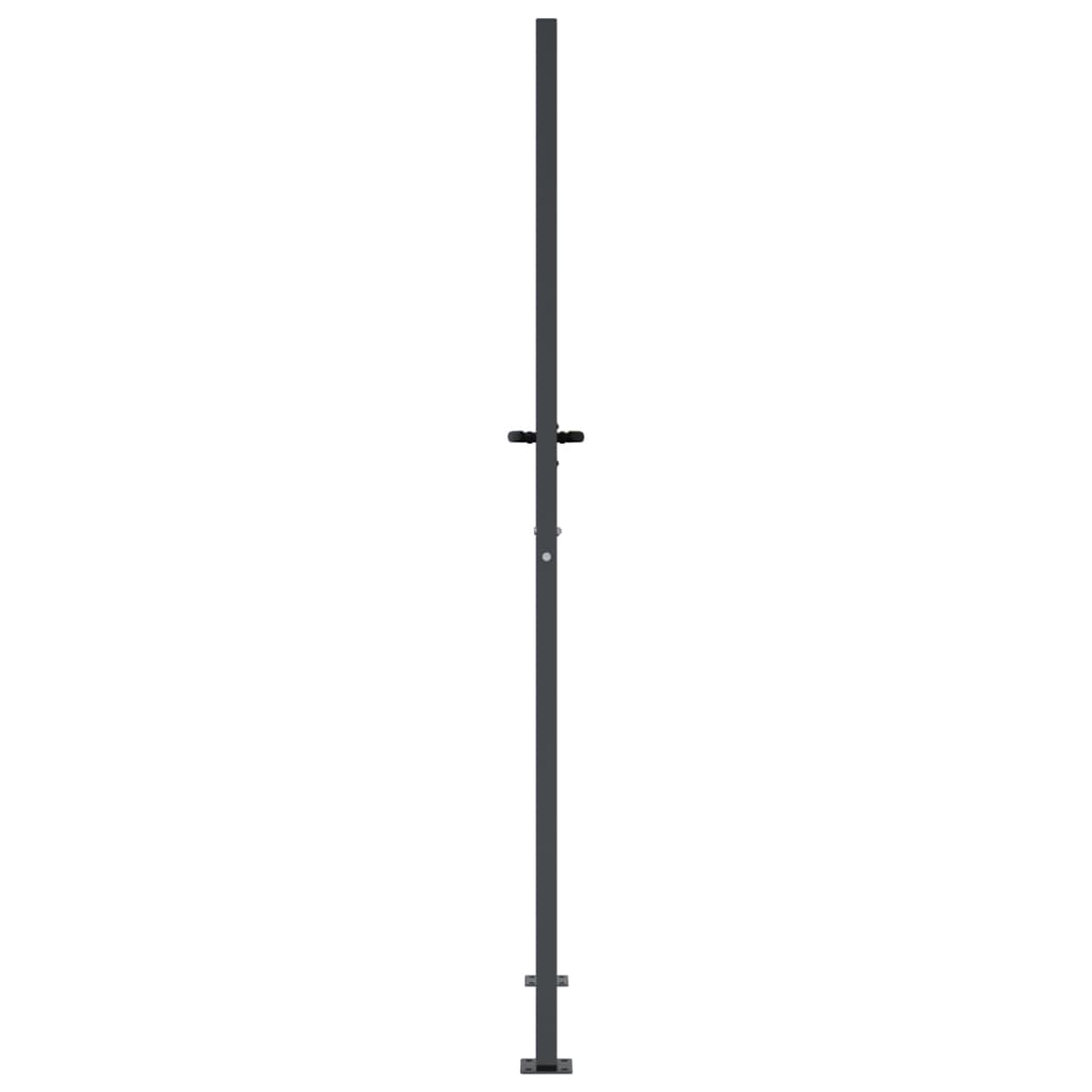 Puutarhan Portti Antrasiitti 100X175 Cm Teräs Ruohokuvio