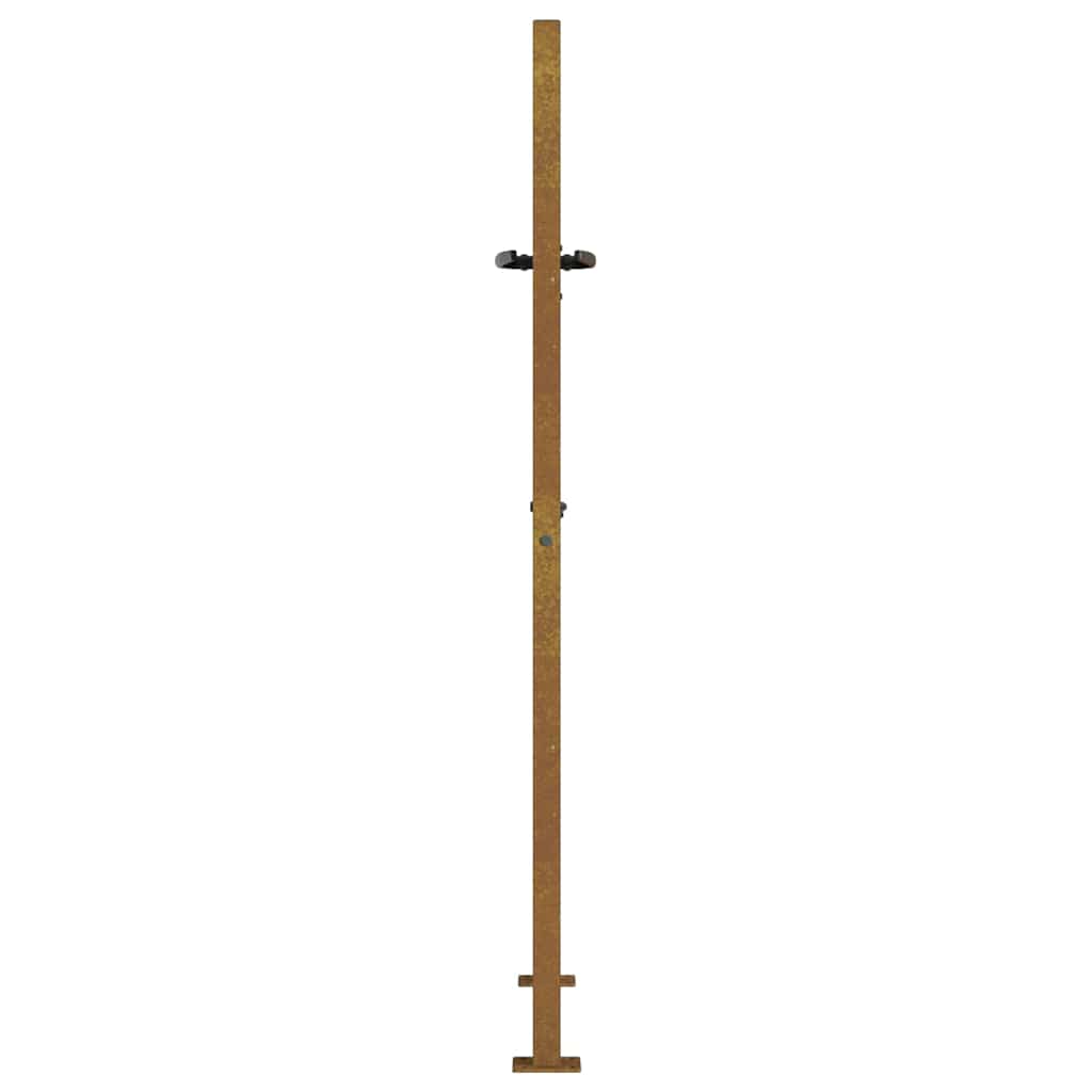 Puutarhaportti 100X150 Cm Corten-Teräs Ruohokuvio