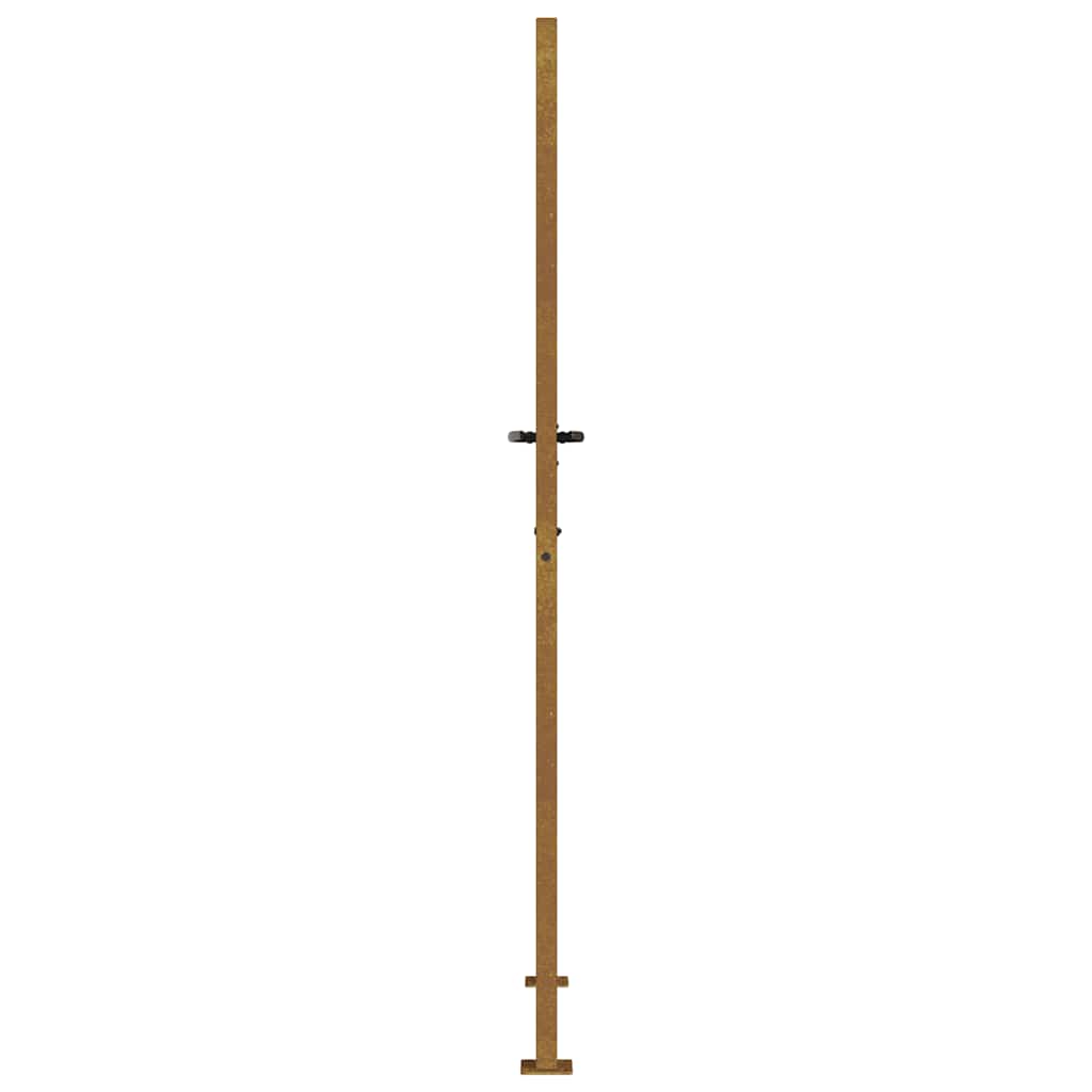 Puutarhan Portti 100X175 Cm Corten-Teräs Ruohokuvio