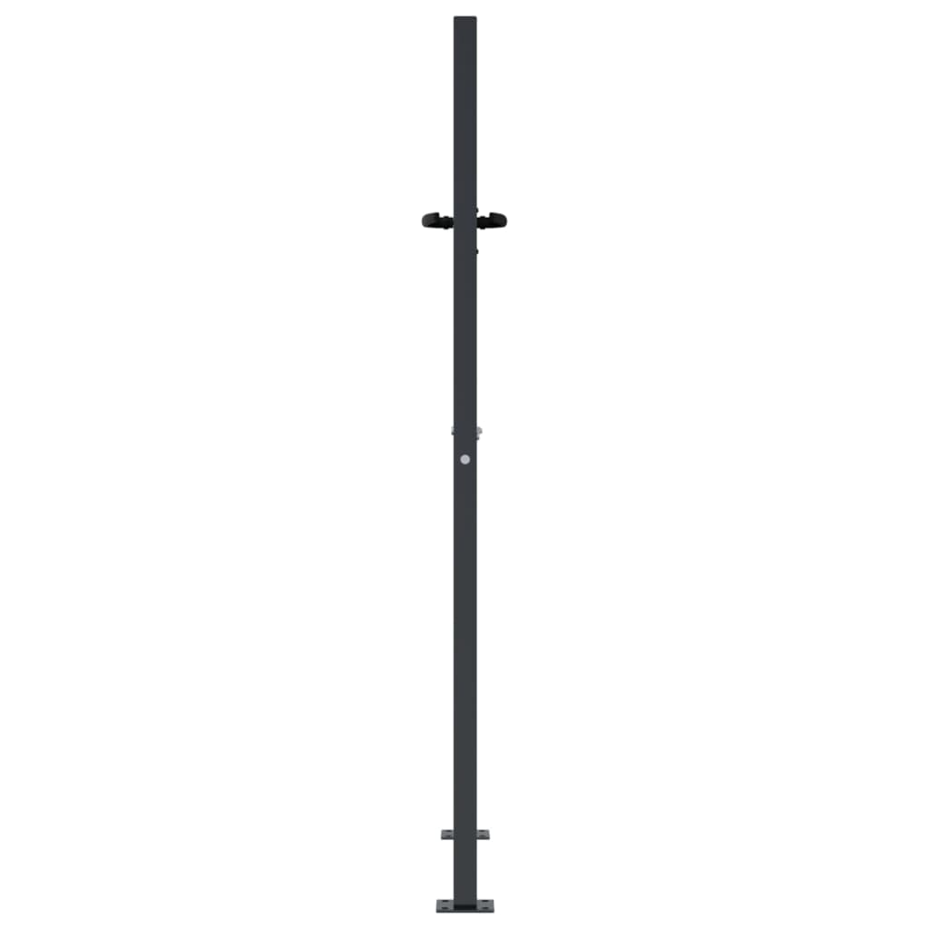 Puutarhan Portti Antrasiitti 100X150 Cm Teräs Bambukuvio