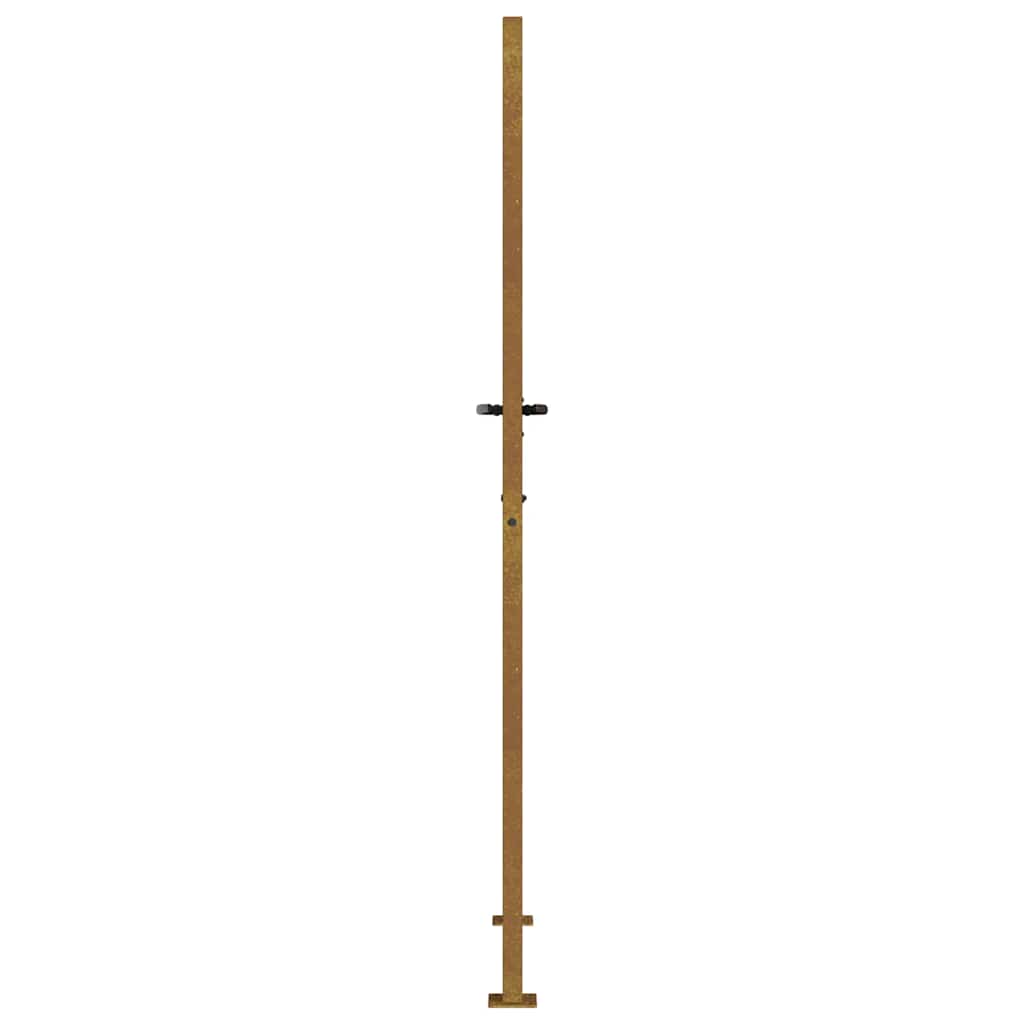 Puutarhaportti 100X200 Cm Corten-Teräs Bambukuvio