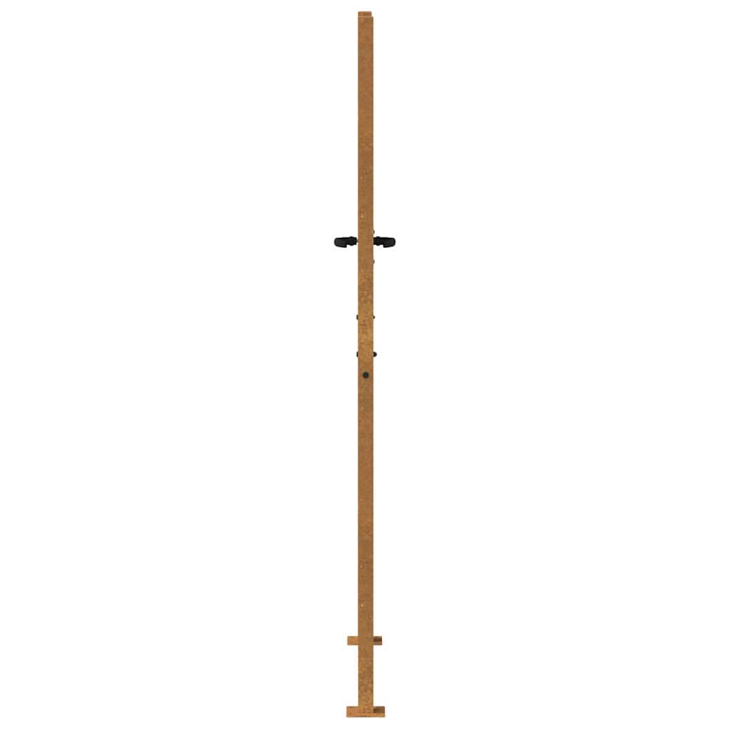 Puutarhaportti 100X200 Cm Corten-Teräs