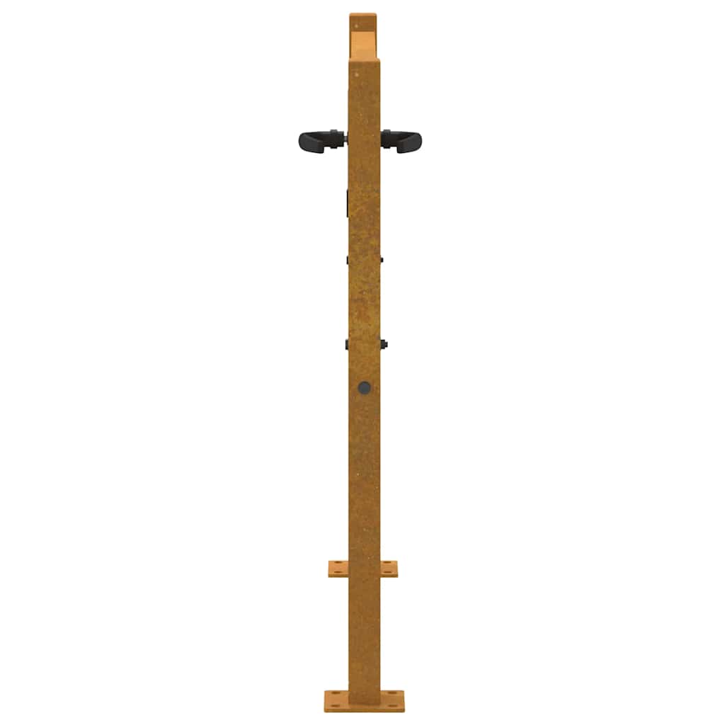 Puutarhaportti 100X100 Cm Corten-Teräs, Puukuvio