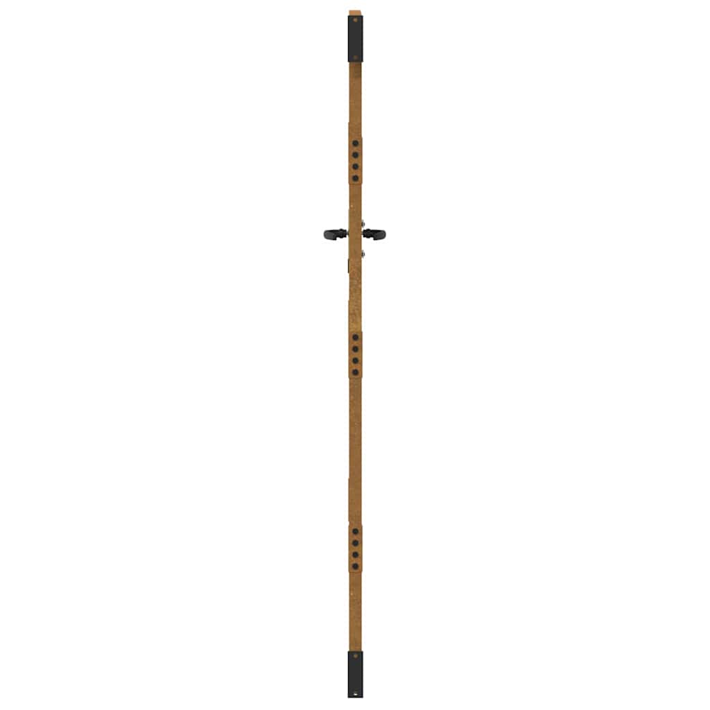 Puutarhaportti 85X175 Cm Corten-Teräs Ruohokuvio