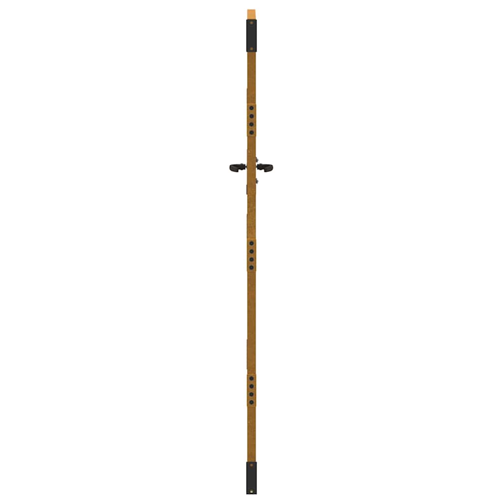 Puutarhaportti 85X200 Cm Corten-Teräs