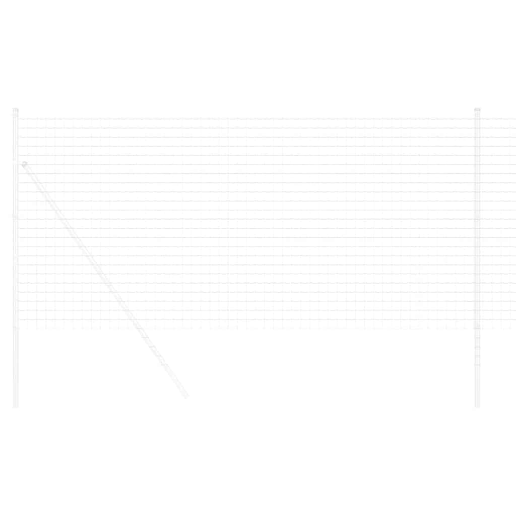 Euroaita 1,4 X 10 M Pvc-Pintainen Rauta