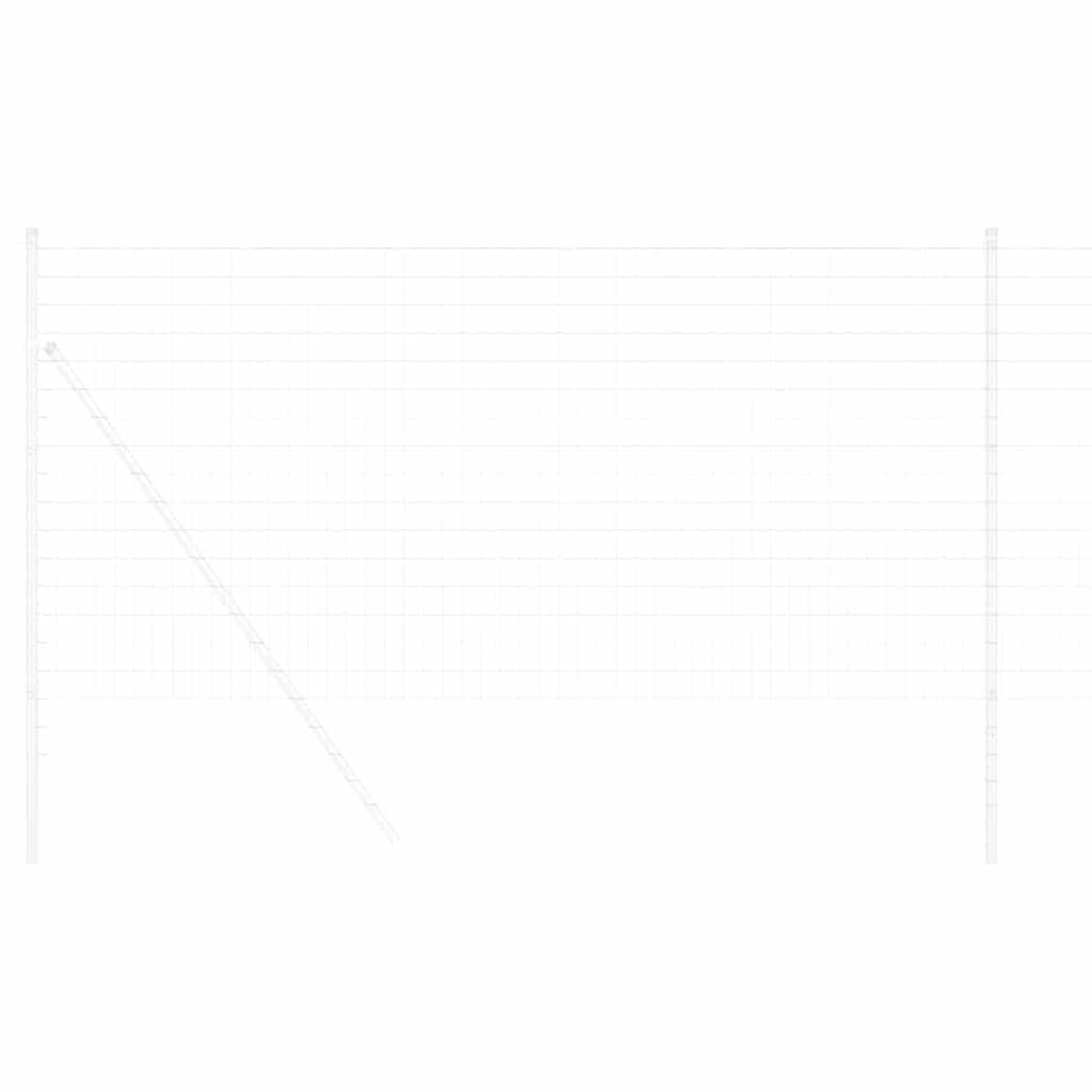 Euroaita 1,2 X 10 M Pvc-Pintainen Rauta
