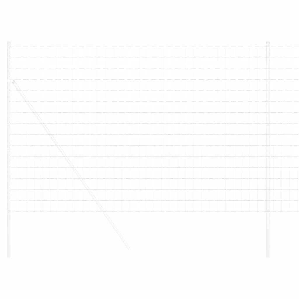 Euroaita 1,6 X 10 M Pvc-Pintainen Rauta