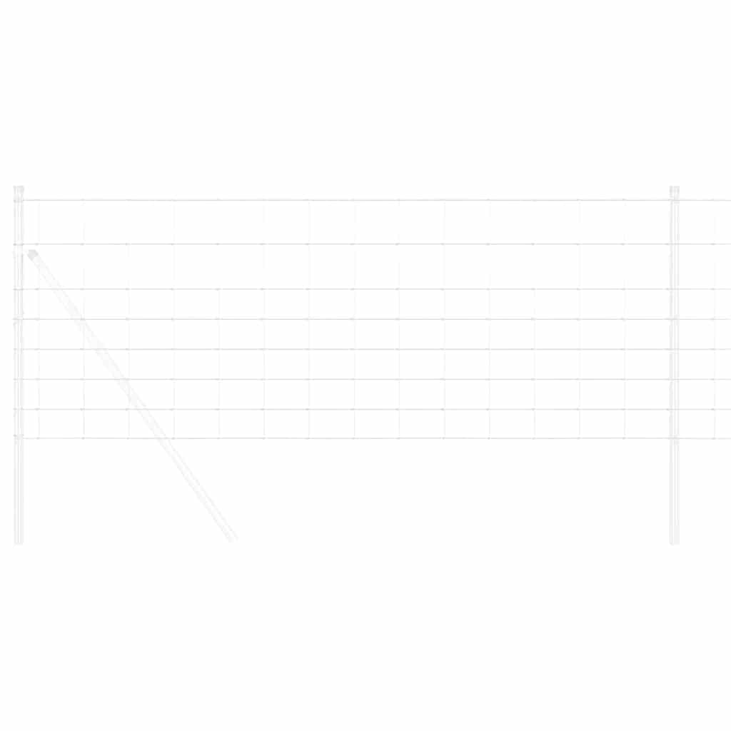 Villiviideo Kuuma Dipattu Galvanoitu 1000 X 80 X 0,18 Cm Rauta