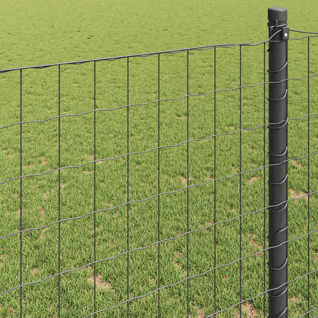 Euroaita Harmaa 1 X 10 M Pvc-Pintainen Rauta
