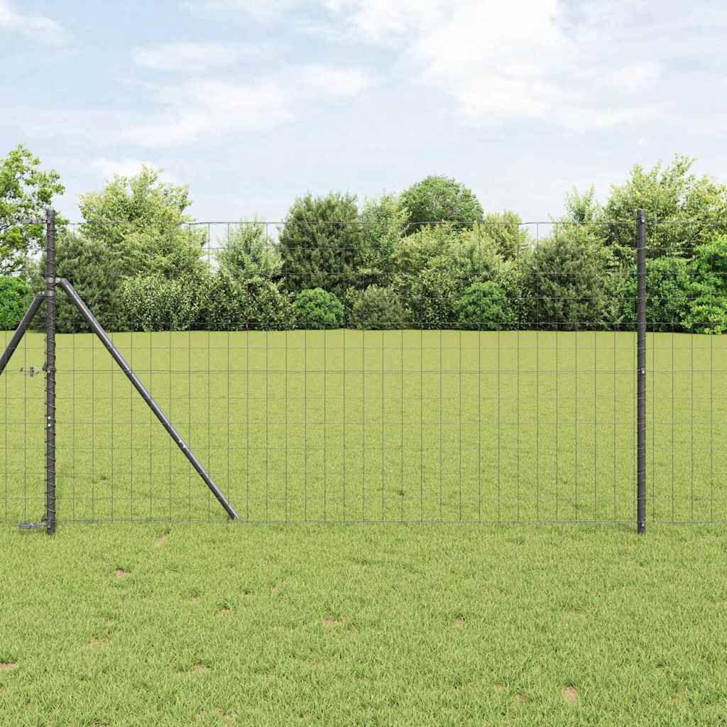 Euroaita Harmaa 1 X 10 M Pvc-Pintainen Rauta