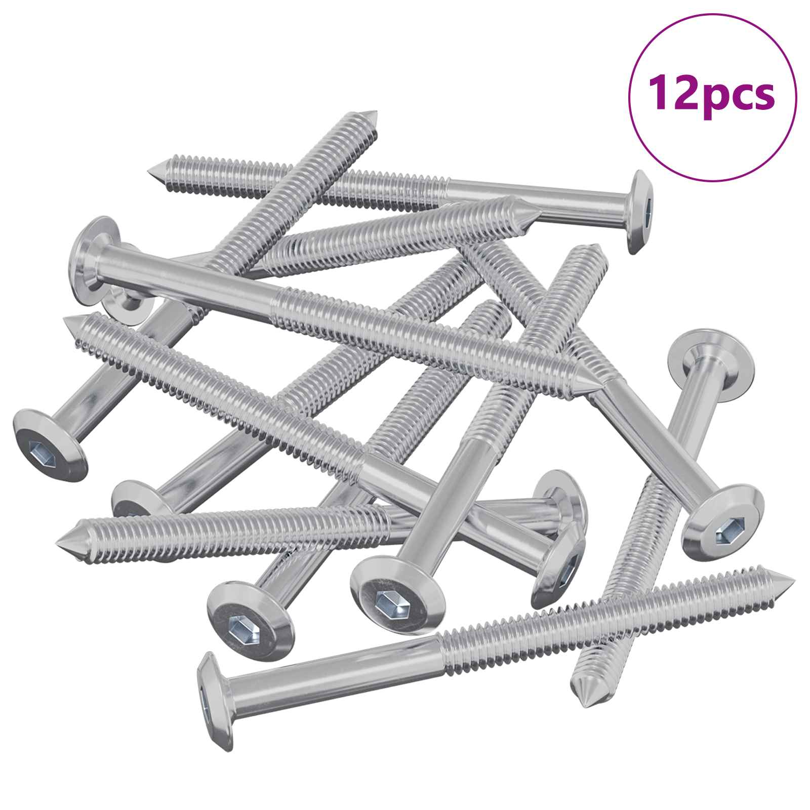 Huonesiivousruuvit 12 Pcs Hopea M6 X 85 Mm Teräs
