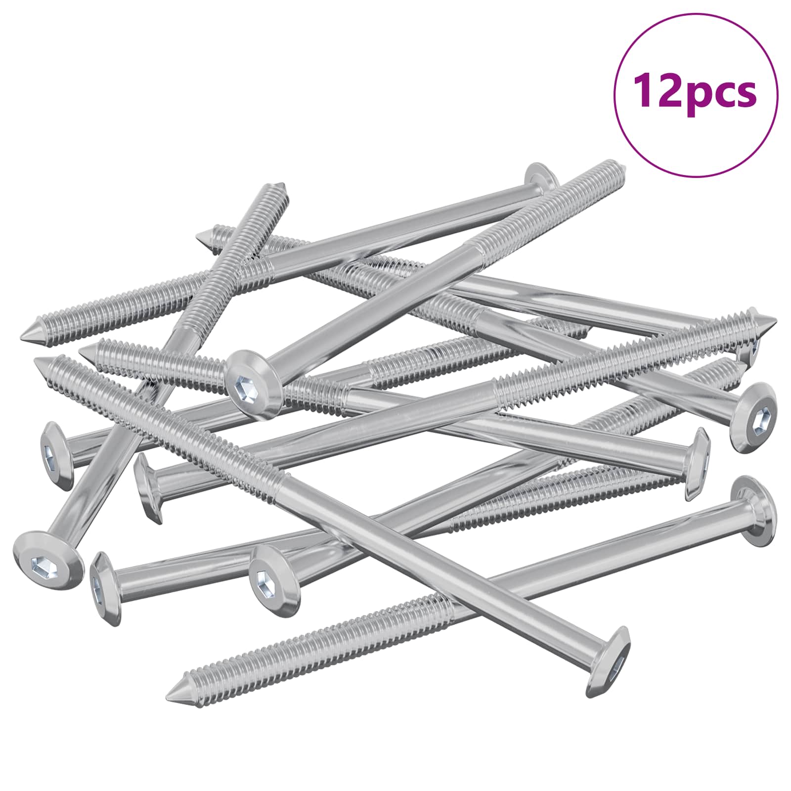 Huonesiivousruuvit 12 Pcs Hopea M6 X 100 Mm Teräs
