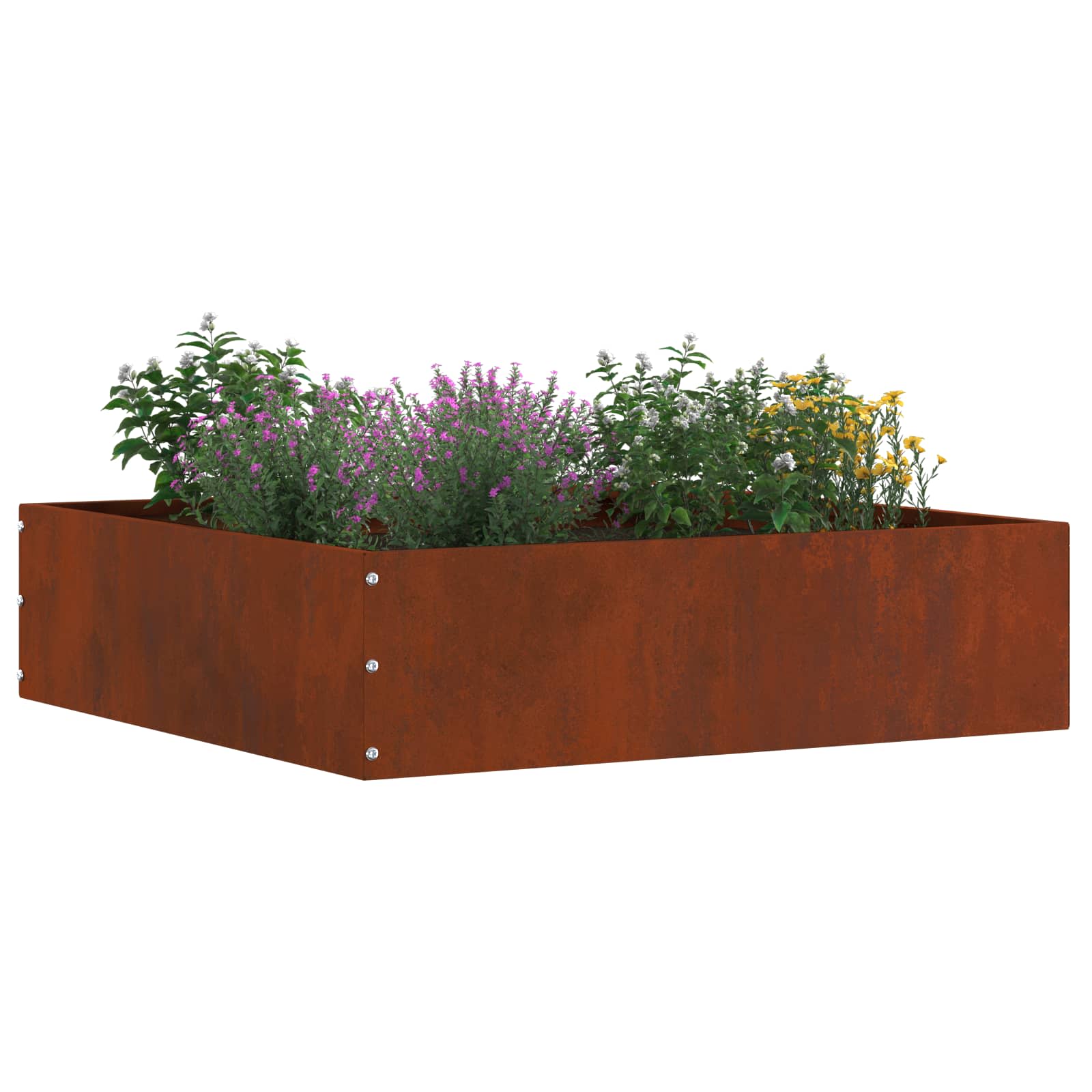 Nurmireunus 6 Pcs Ruosteinen 50 X 50 X 13 Cm Kulunut Teräs