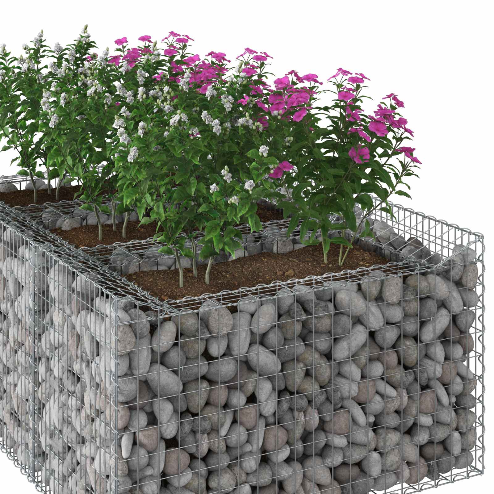 Gabion Kohotettu Peti Hopea