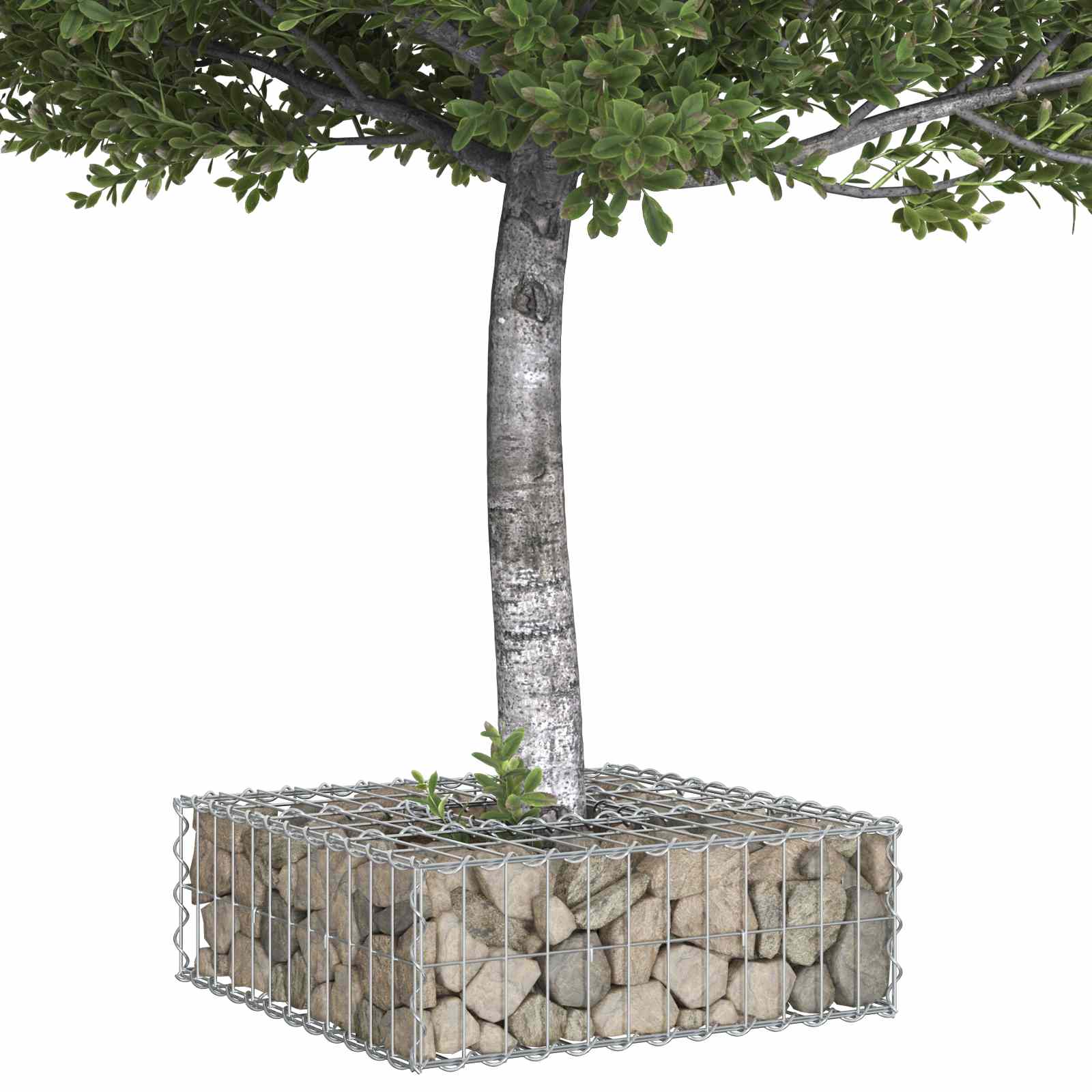 Gabion Kohotettu Peti Hopea