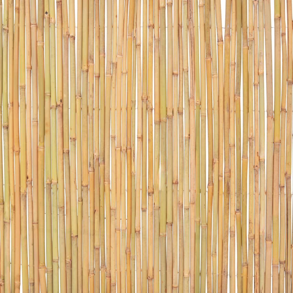 Bambuaita 300X100 Cm