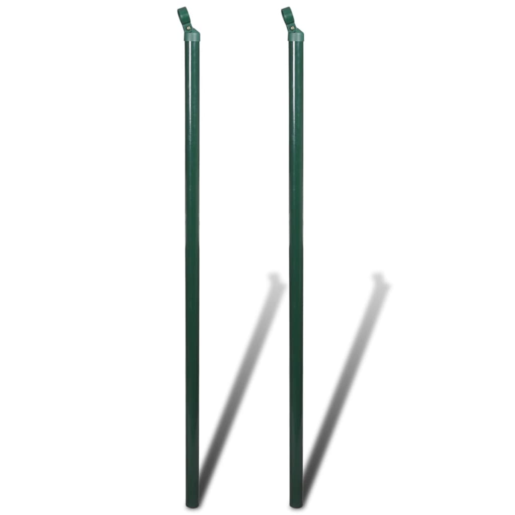 Verkkoaita Tolpilla Piikeillä Teräs 0,8X25 M
