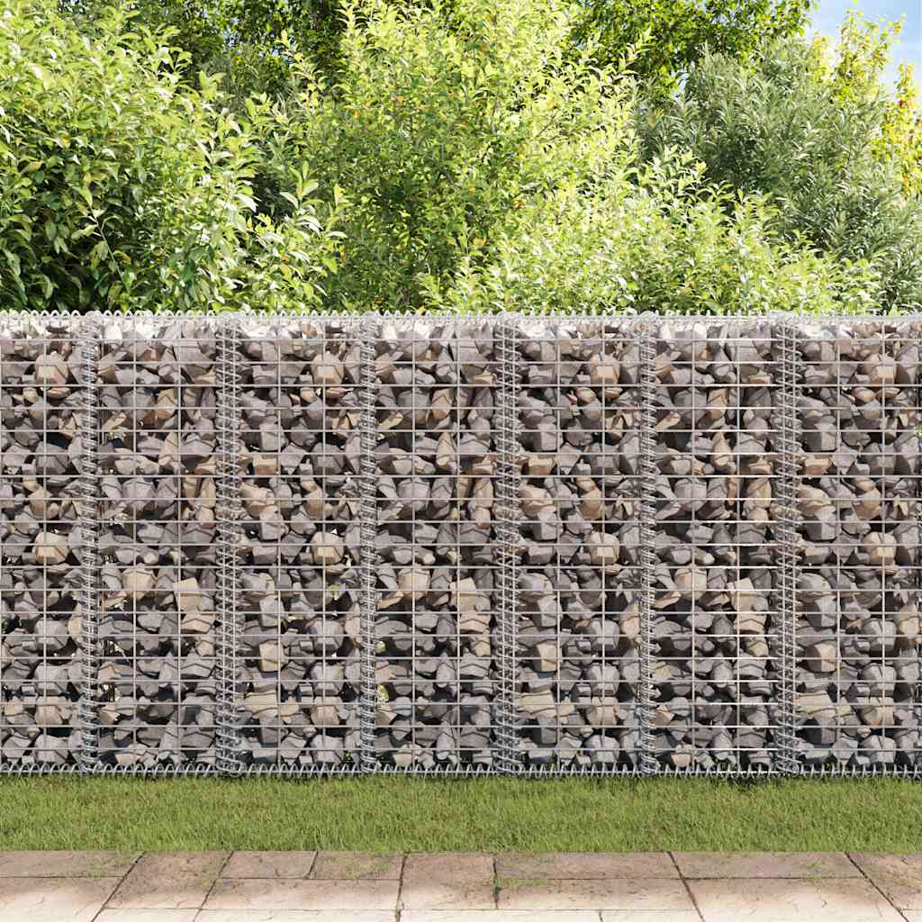 Gabion/Kivikori Kansilla Galvanoitu Vaijeri 100X30X30 Cm