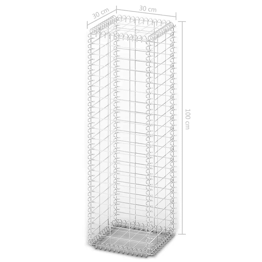 Gabion/Kivikori Kansilla Galvanoitu Vaijeri 100X30X30 Cm