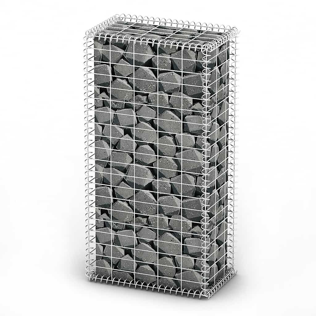 Gabion/Kivikori Kansilla Galvanoitu Vaijeri 100X50X30 Cm
