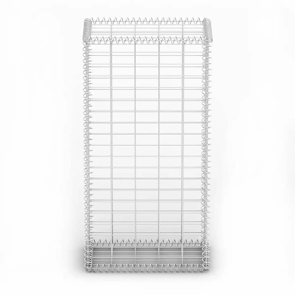 Gabion/Kivikori Kansilla Galvanoitu Vaijeri 100X50X30 Cm