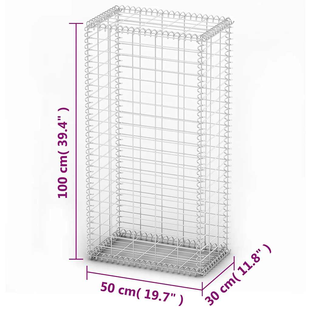 Gabion/Kivikori Kansilla Galvanoitu Vaijeri 100X50X30 Cm