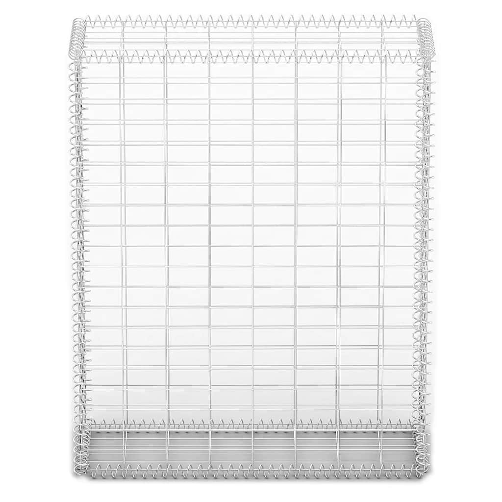 Gabion/Kivikori Kansilla Galvanoitu Vaijeri 100X80X30 Cm