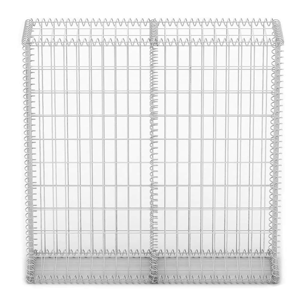 Gabion/Kivikori Kansilla Galvanoitu Vaijeri 100X100X30 Cm