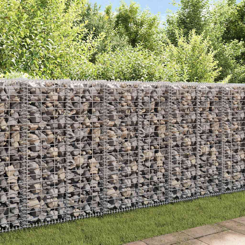 Gabion-Kivikori Kansilla Galvanoitu Teräs 20X20X100 Cm
