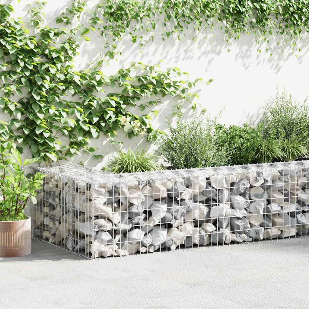 Gabion-Kivikori Kansilla Galvanoitu Teräs 300X30X50 Cm