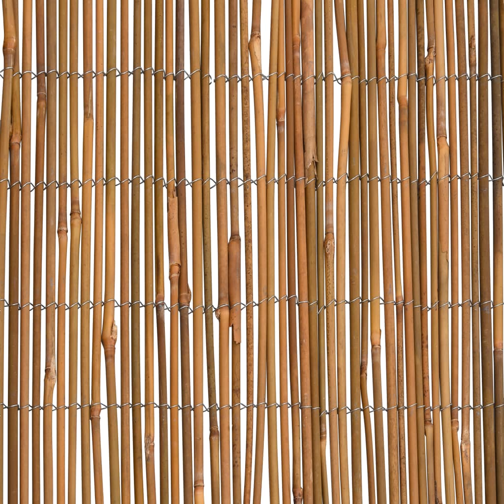Bambuaita 500X100 Cm