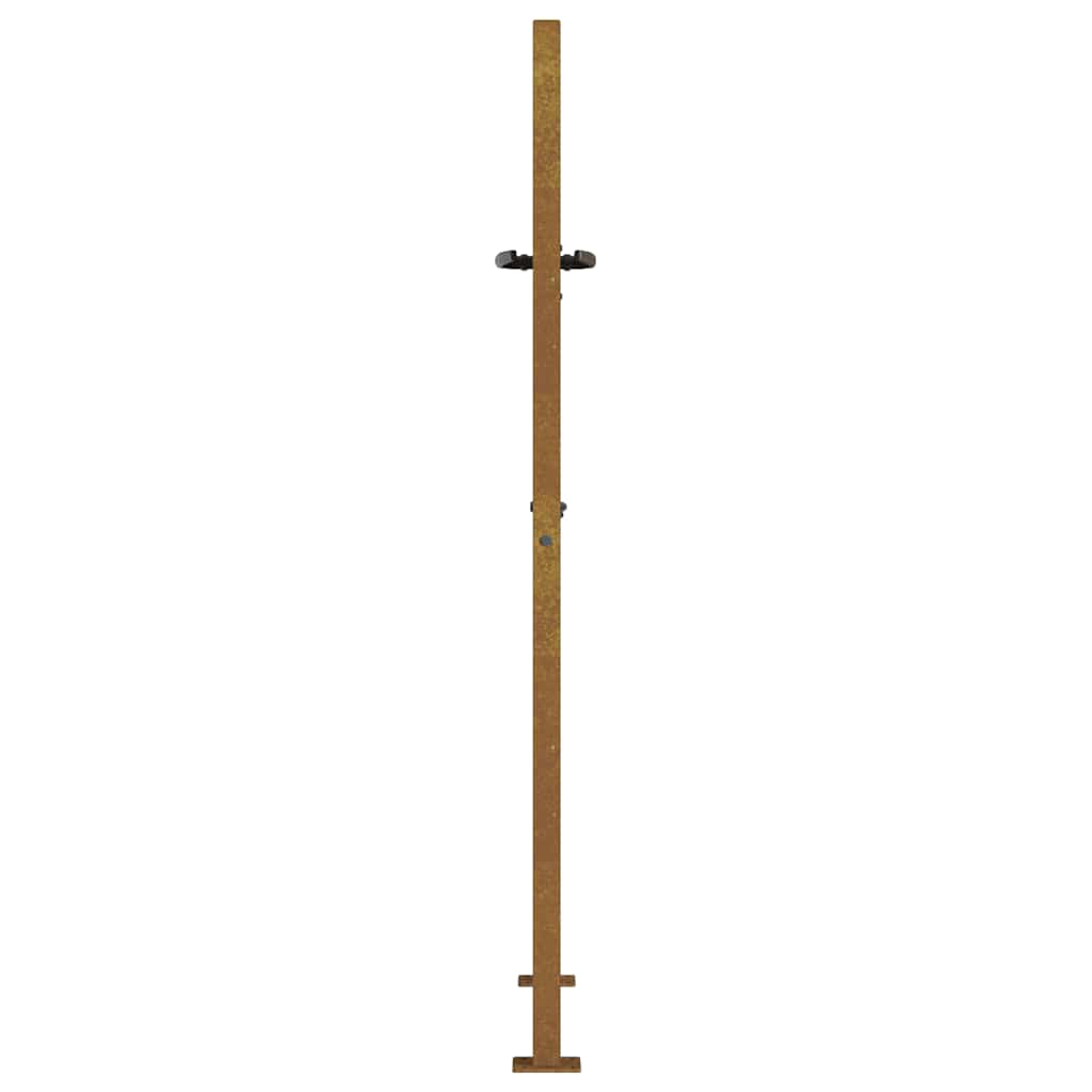 Puutarhaportti 100X150 Cm Corten-Teräs, Puukuvio