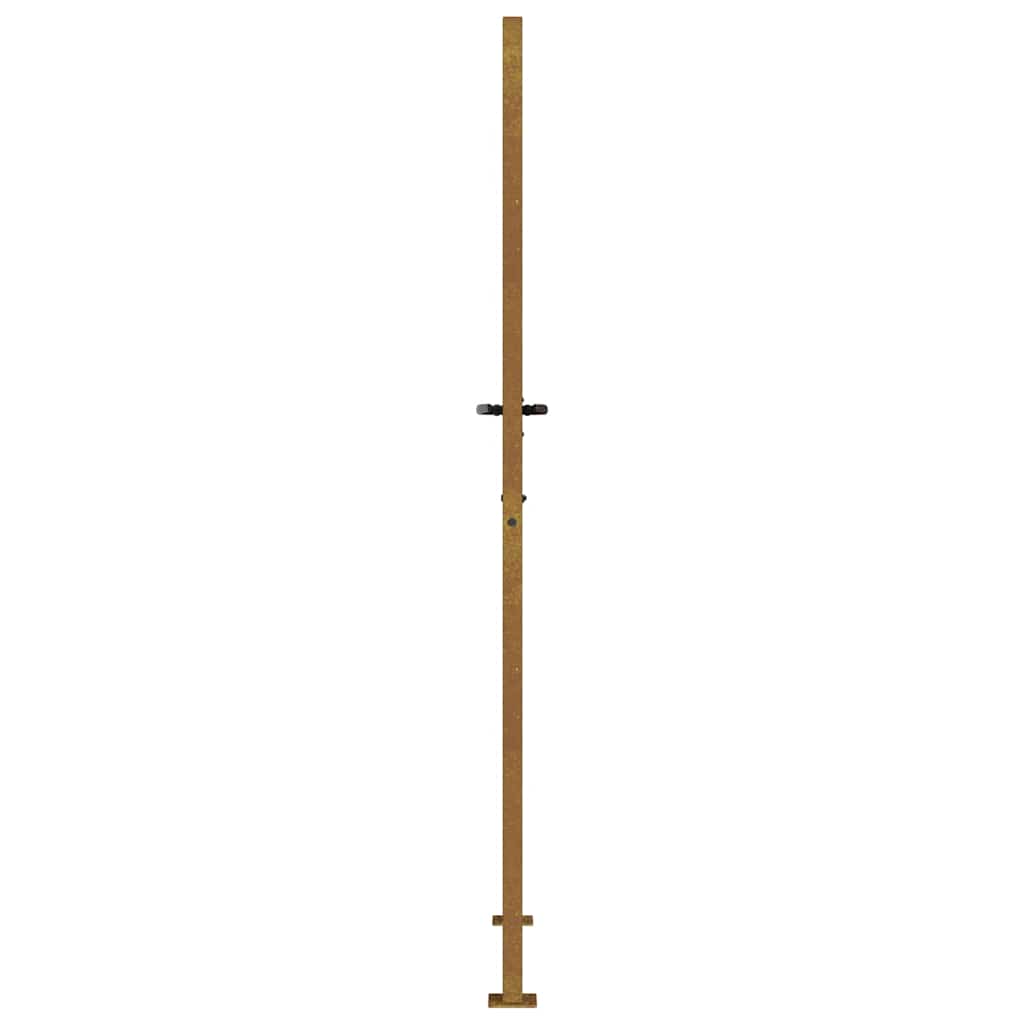 Puutarhaportti 100X200 Cm Corten-Teräs, Puukuvio
