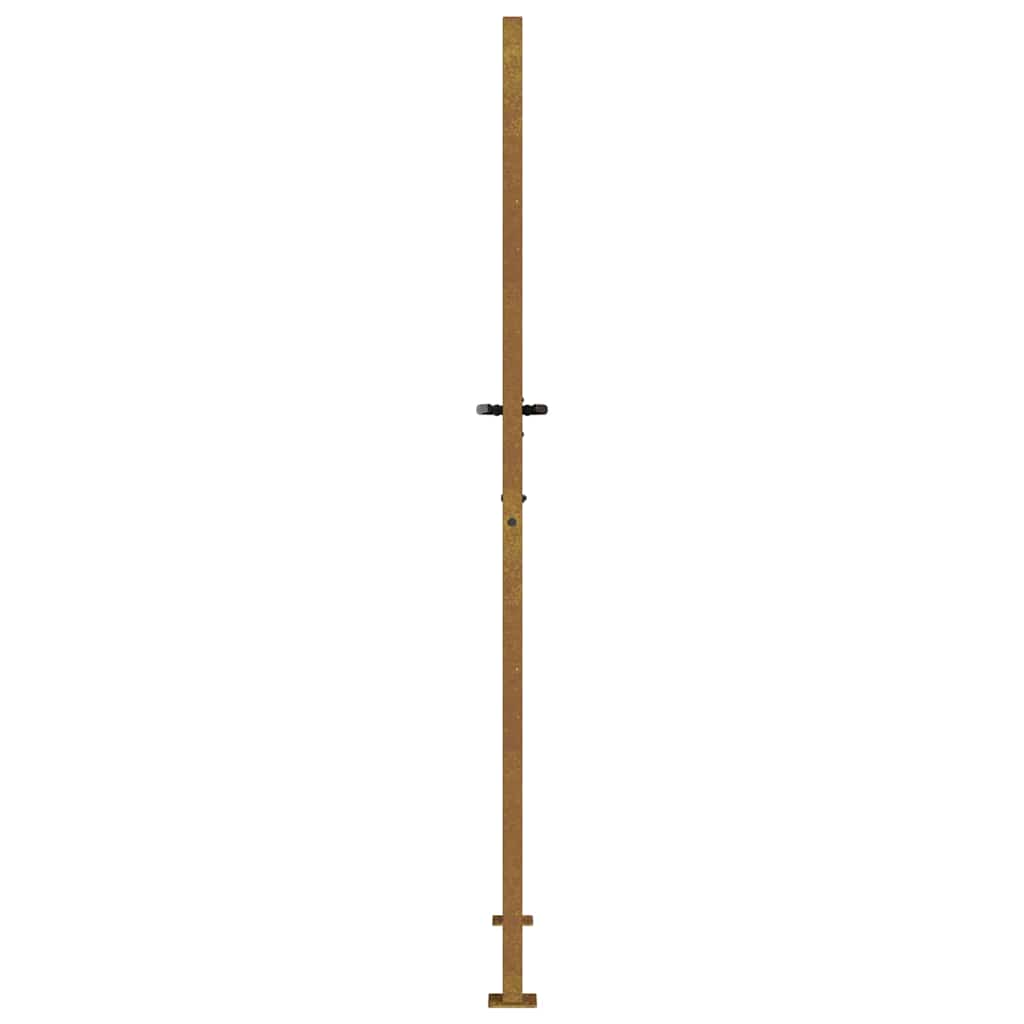 Puutarhaportti 100X200 Cm Corten-Teräs Ruohokuvio