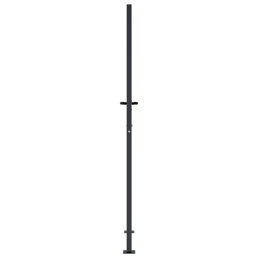 Puutarhan Portti Antrasiitti 100X200 Cm Teräs Neliönmuotoinen