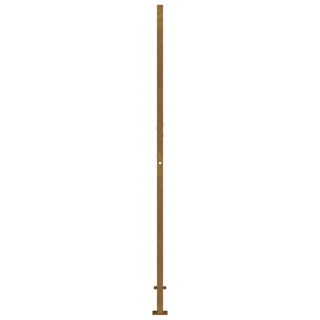 Puutarhaportti 100X200 Cm Corten-Teräs Neliönmuotoinen