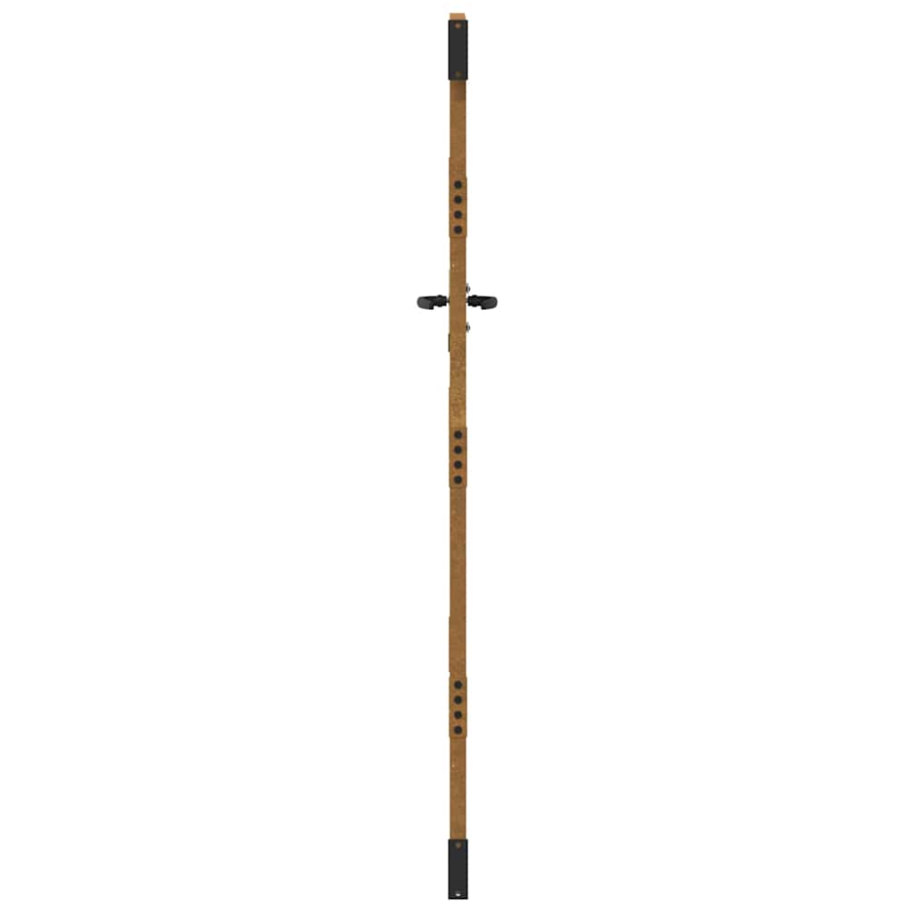 Puutarhaportti 85X200 Cm Corten-Teräs Ruohokuvio
